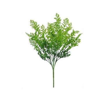 Samambaia Verde 40cm