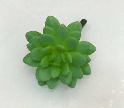 Suculenta Verde 13cm