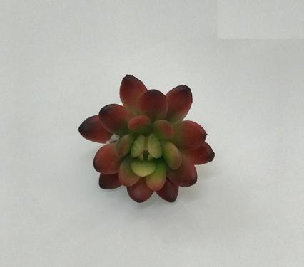 Suculenta Vermelha 7cm