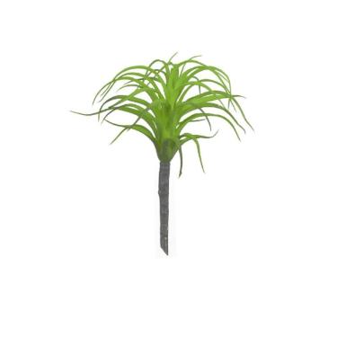 Suculenta  Agave Verde 20cm