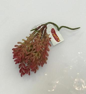 Suculenta Sedum Vermelha 20cm