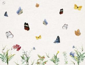 Lugar Americano Borboletas