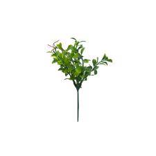 Pick peperomia em pl�stico Brilliance 20cm verde