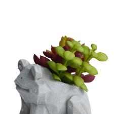 Vaso com suculenta em cimento e pl�stico L'Hermitage Sapo 10x7,5x8,5cm cinza