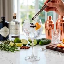Jogo de 2 ta�as para Gin em cristal Bohemia Gastro 570ml: Requinte e Cristal Tcheco Original
