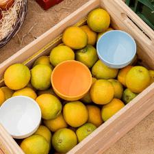 Tigela de Cer�mica Oxford Salada Tropical Azul Claro 600ml