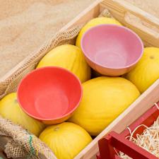 Tigela de Cer�mica Oxford Salada Tropical Rosa 600ml