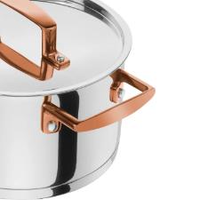 Jogo de Panelas Inox 5 Pe�as Zwilling Bellasera com Design Moderno e Performance Profissional