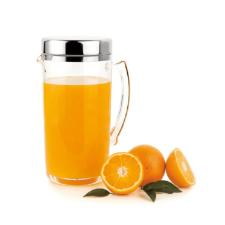 Jarra em acr�lico com tampa em Inox Forma Vision 2L